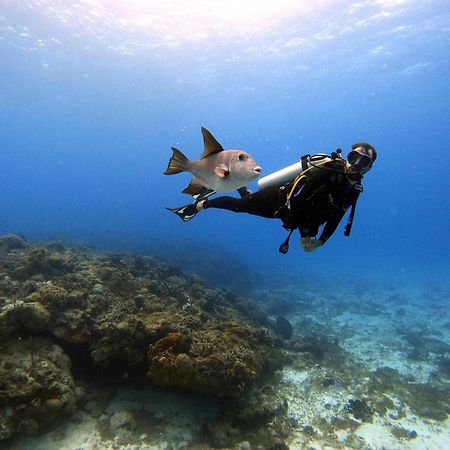 Villas Mayaluum Cozumel Dış mekan fotoğraf