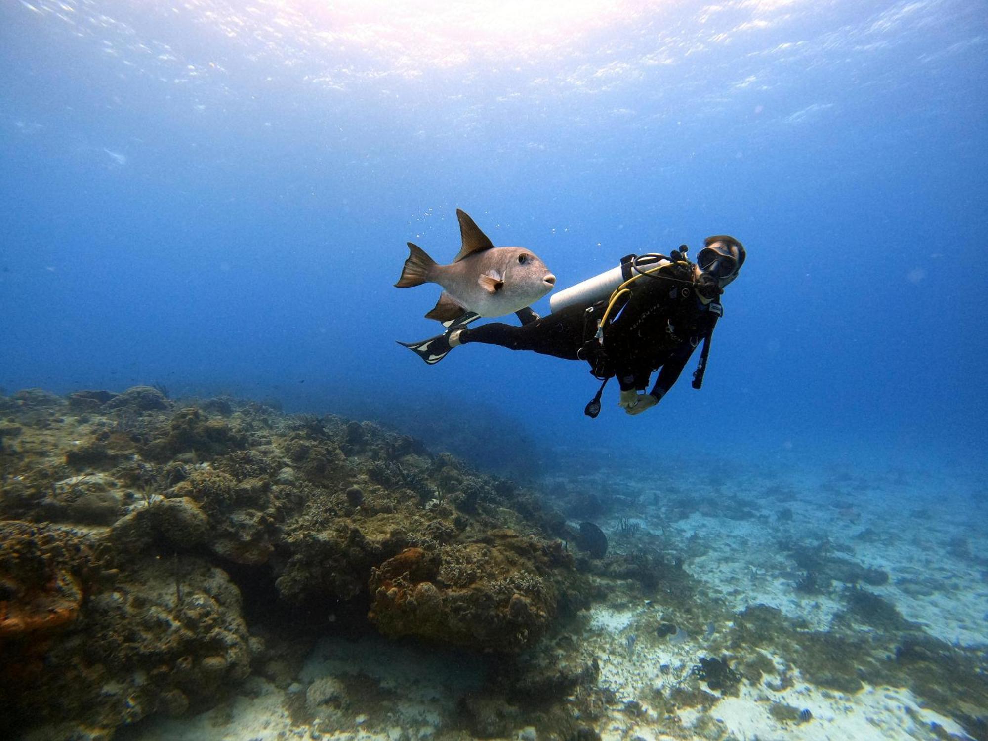 Villas Mayaluum Cozumel Dış mekan fotoğraf